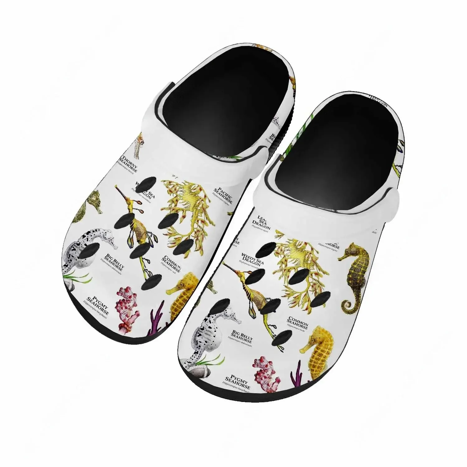Sandały Seahorse dla kobiet i  – Men Shoes High recenzja i cena