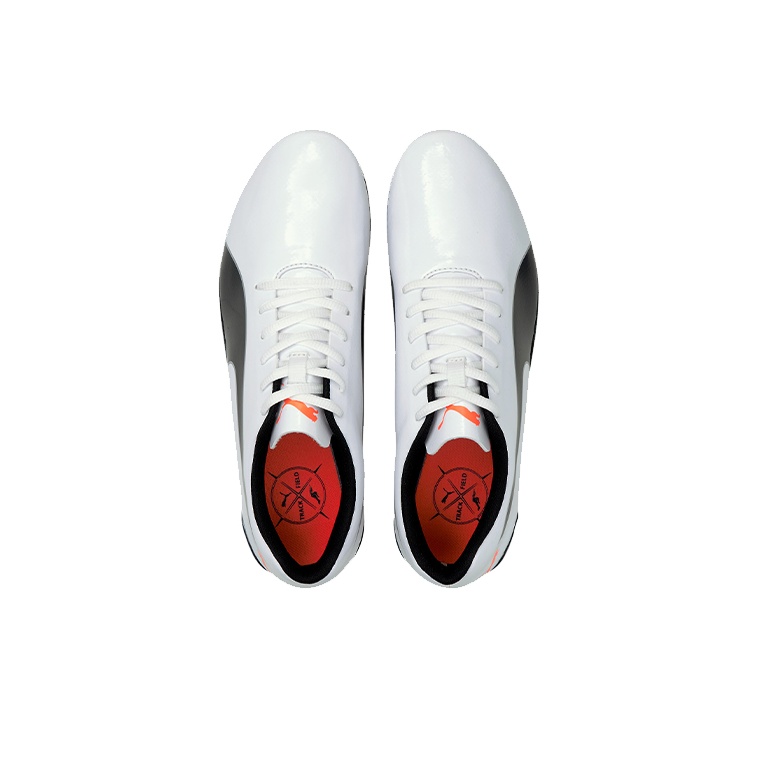 PUMA EvoSPEED Prep Sprint 2 Sz – Men Shoes Puma recenzja i cena
